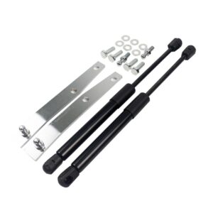Bonnet Struts Pair